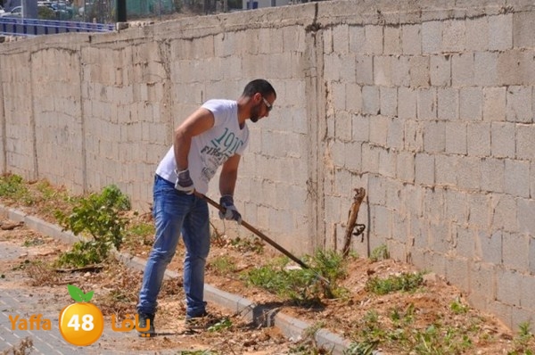 tasoo qemam (19).JPG